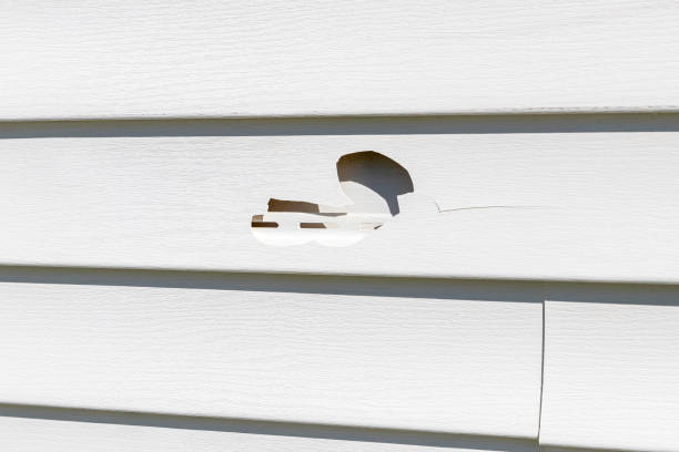 Best Siding Maintenance  in Baltimore, MD